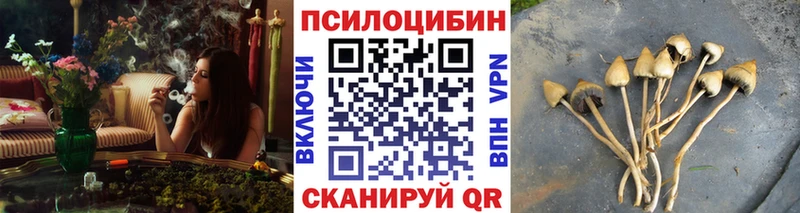 Псилоцибиновые грибы MAGIC MUSHROOMS  дарнет шоп  Гагарин 